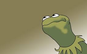 In 365 days you helped me pay off car loan, laid countless times and loose over 20lbs and have a lot of fun money to splurge on. Hd Wallpaper Kermit The Frog Cocaine 1680x1050 Animals Frogs Hd Art Wallpaper Flare