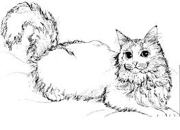 Why not eat a bone? Free Printable Cat Coloring Pages For Kids