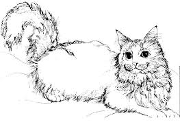 The kawaii mermaid cat coloring pages look almost like hello kitty coloring pages. Free Printable Cat Coloring Pages For Kids