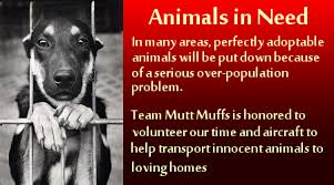 Welcome To Mutt Muffs