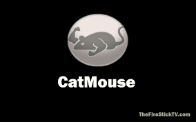 This article describes what an apk file is, how to open or install one (exactly how depends on yo. Install Catmouse Apk On Firestick In 2 Minutes Easy Method For 2021