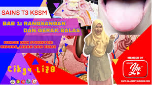 Rangsangan dan gerak balas other contents: Sains Tingkatan 3 Hidung Lidah Dan Kulit Lessons Blendspace