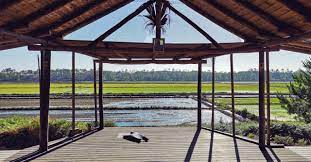 Maybe you would like to learn more about one of these? Yoga Shala Comporta In The Rice Fields At Comporta In Portugal