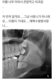 재미있는에 있는 재롱 지님의 핀 웃긴 유머 웃긴 및 무서운 이야기