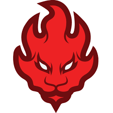 lego ninja of fire google kereses coloriage ninjago dessin flamant rose