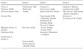 Image result for Queenslandiella