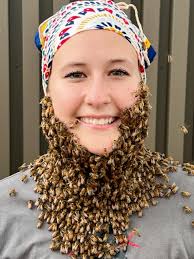 Minding Your Bees and Cues