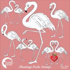 Download Flamingo Coloring Page Worksheets Teaching Resources Tpt