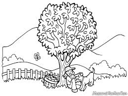 Di indonesia banyak sekali terdapat gunung, baik yang masih aktif maupun yang sudah tidak beraktifitas lagi. Mewarnai Gambar Pemandangan Alam Mewarnai Gambar