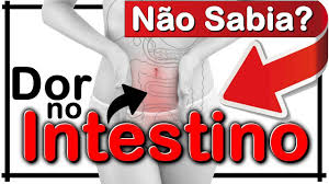 dor de barriga ou intestinal o que fazer e agora dor dor de barriga barriga