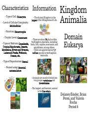 Check spelling or type a new query. Kingdom Project Pamphlet Pdf Characteristics Type Of Cell U200beukaryote Information The Animal Kingdom Is The Largest U200b Of The 6 Kingdoms Of Life Course Hero