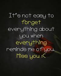 28 I Miss You Quotes That Will Show Someone You Care Lewis Hack Missing You Quotes Be Yourself Quotes I Miss You Quotes