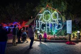 Check spelling or type a new query. Best Things You Need To Do In Houston Tx Local Expert Travel Guide