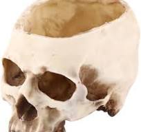 Atyhao Skull Pot, een praktische schedelvormige pot met harsmateriaal voor  het kweken van bloemen, gras of vele andere planten voor het gezin : ...