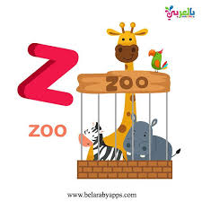 بطاقات تعليم الحروف الانجليزية للاطفال Pdf للطباعة Abc Flash Cards بالعربي نتعلم Lettering Alphabet Letter Z Lettering