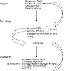 Check spelling or type a new query. Conceptual Model For The Relationship Between Depression And Sleep Download Scientific Diagram