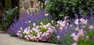 Maybe you would like to learn more about one of these? Garden Ideas Cottage Garden Creations The Diggers Club