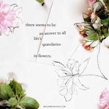 It is also important to have flowers and plants where we live, because they breathe, too. My Favorite Quotes On Flowers Chatham St House Flower Quotes Favorite Quotes Flowers