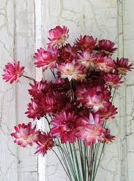 Rosy pink straw flowers add a blush of color to offset the whites and greens of the grains and floral buttons. Dried Straw Flowers Bouquets Strawflower 30 Pink Mixed Shades Stem Wired By Hand
