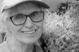 Sungreen Living Foods