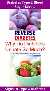 Pin On Diabetic Diet Plan