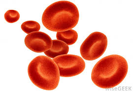 Maybe you would like to learn more about one of these? What Is A Red Blood Cell With Pictures