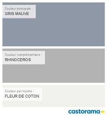 Peinture Gris Mauve Colours Nuancier Peinture Peinture Grise Castorama