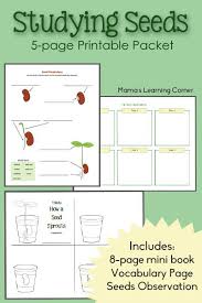 Studying Seeds Printable Mini Book Seed Chart And