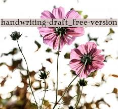 Enter some text in the box below, then click the preview button. Handwriting Draft Free Version Font Ffonts Net