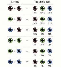 All About The Eye Color Genetics Chart