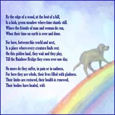 Never Forgotten The Rainbow Bridge Facebook