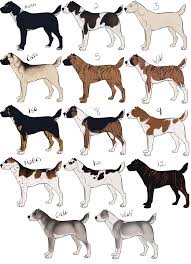How many flickr users have heard of this unusual breed? Central Asian Ovcharka Imports Open By Expiredcanmayhem On Deviantart