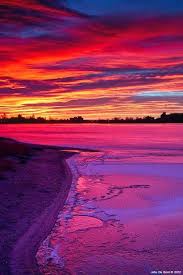 Nov 16, 2012 · and amazingly, crape myrtles put on a fall foliage show, as well. Beautiful Purple Orange Sunset Novocom Top