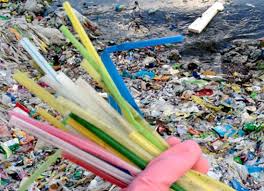 Plastic straws, drink stirrers and cotton buds will be banned from april next year, michael gove has confirmed. Vanuatu Walks The Talk And Becomes First Country To Ban Plastic Straws Asia Pacific Report