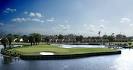 Picture of the island green on hole #8 of Cranes Bend at Orange ...