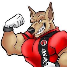 Todo sobre xolos de tijuana, noticias en imagenes, fotos, videos, audios, infografias, interactivos y resumenes de xolos de tijuana. Xoloscuincles De Tijuana Home Facebook