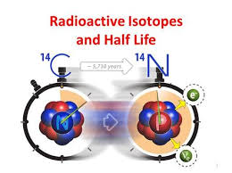 However, it is also used to determine ages of rocks, plants, trees, etc. Radioactive Dating Ppt Video Online Download
