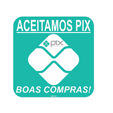 Placa 15X20 Aceitamos Pix | GKSEG