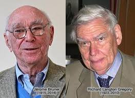 Psychologie écologique : applications