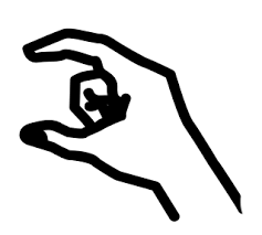 Check spelling or type a new query. Australian Sign Language Translator Auslan Lingojam