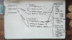 Apabila kamu sedang mencari referensi atau acuan untuk mengerjakan tugas membuat teks eksplanasi tentang fenomena sosial, maka berikut pendidikanpedia buat 12. Literasi Latihan Soal Online Dan Penelitian Sosial Berbasis Data Virtual Mgmp Sosiologi Jateng