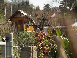 Veröffentlicht unter leben im garten, tipps & tricks | kommentare deaktiviert für kinderfreundliche gartengestaltung. Roland Buti Das Leben Ist Ein Wilder Garten Lesefieber Ch