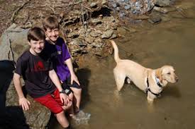 Maybe you would like to learn more about one of these? Pet Friendly Cabins In Pigeon Forge Tn