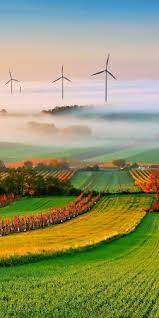 اجمل خلفيات موبايل في العالم hd tecnologis field wallpaper vineyard art landscape