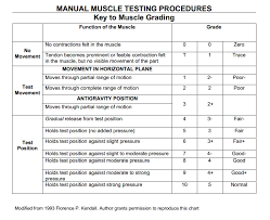 Manual Muscle Testing Grading And Procedures