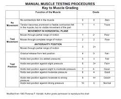 manual muscle testing grading and procedures