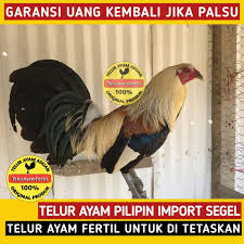 We did not find results for: Toko Online Koko Farm Shopee Indonesia