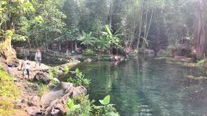 Selain mudah dibuat rasanya juga menyegarkan. Mengenal Setiap Tempat Wisata Di Kuningan Jawa Barat