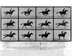 Sometimes ribbons are strung out from tree to tree. How A 19th Century Photographer Made The First Gif Of A Galloping Horse At The Smithsonian Smithsonian Magazine