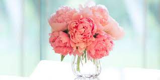 Common types of flowers to give. 12 Best Flowers For Valentine S Day Popular Roses Arrangements To Send To Your Valentine